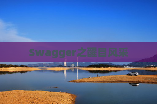 Swagger之醒目风采